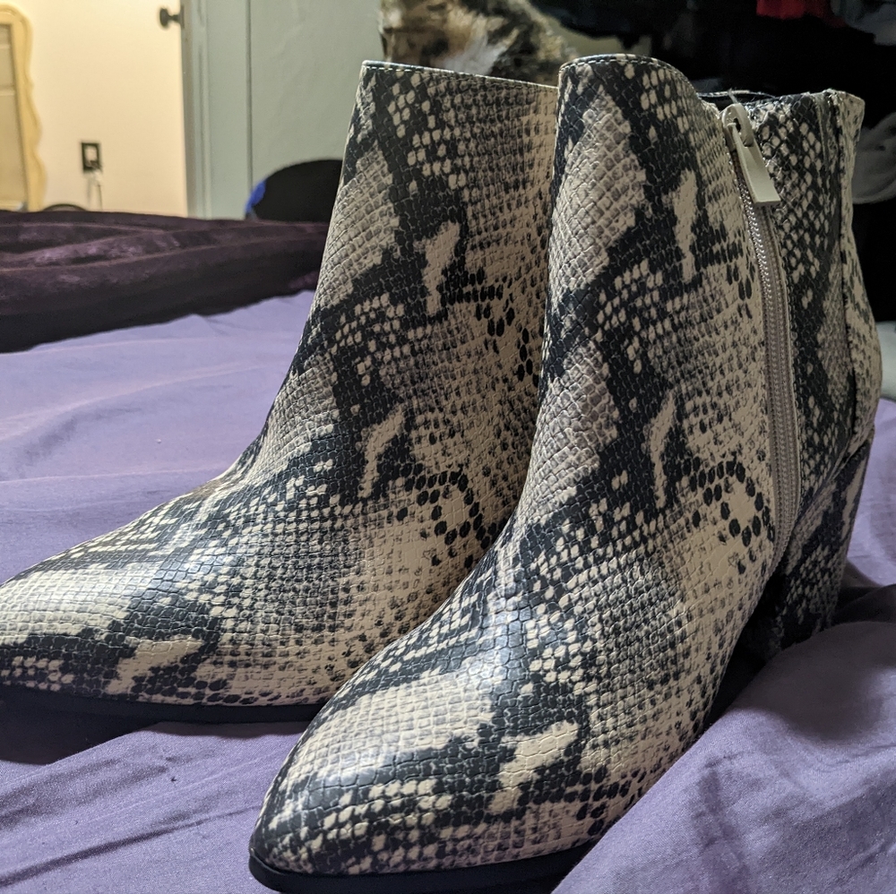 Torrid Snakeprint Booties